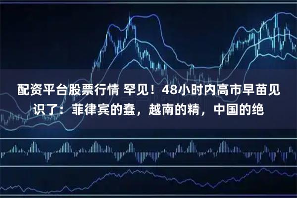 配资平台股票行情 罕见！48小时内高市早苗见识了：菲律宾的蠢，越南的精，中国的绝